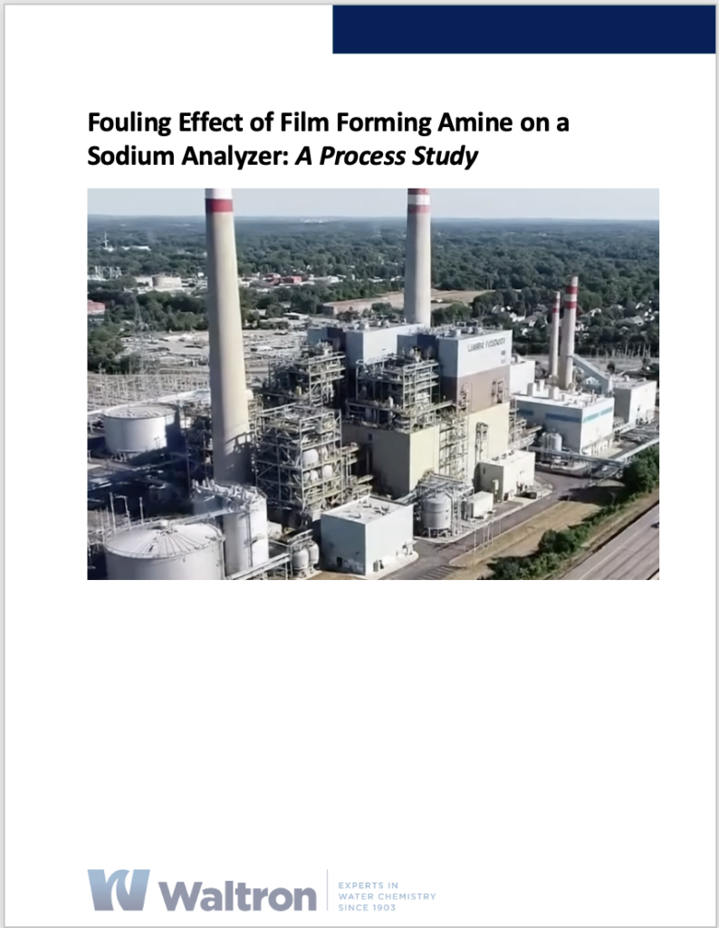 Film Forming Amine Process Study Cover Image